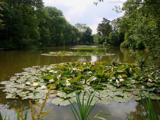Norfolk's Unspoilt Monet's Garden from the picnic area end